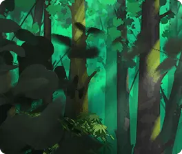 Фон с коалой
